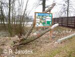 Chráněná krajinná oblast Poodří