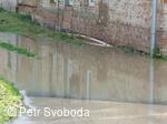 Rozvodnění Doubravy 11.5.2010
