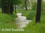 Rozvodnění Doubravy 11.5.2010
