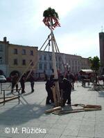 Stavění májky v Příboře 2010