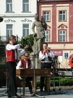 Local TV Příbor, městské televizní vysílání v Příboře
